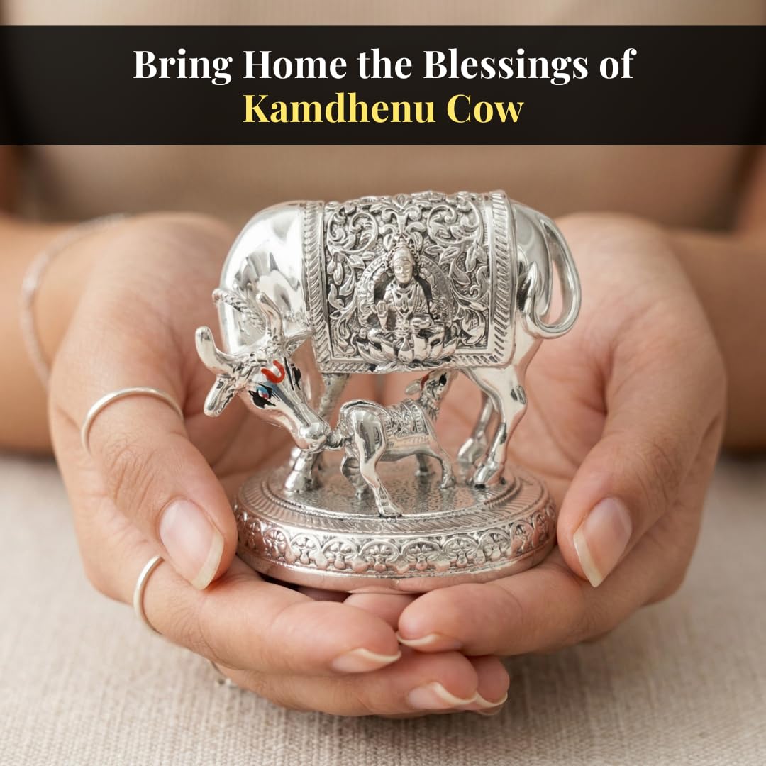 Bring Home the Blessings of Kamdhenu Cow